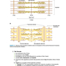 BRS Physiology (Board Review Series)