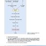 BRS Physiology (Board Review Series)