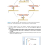 BRS Physiology (Board Review Series)