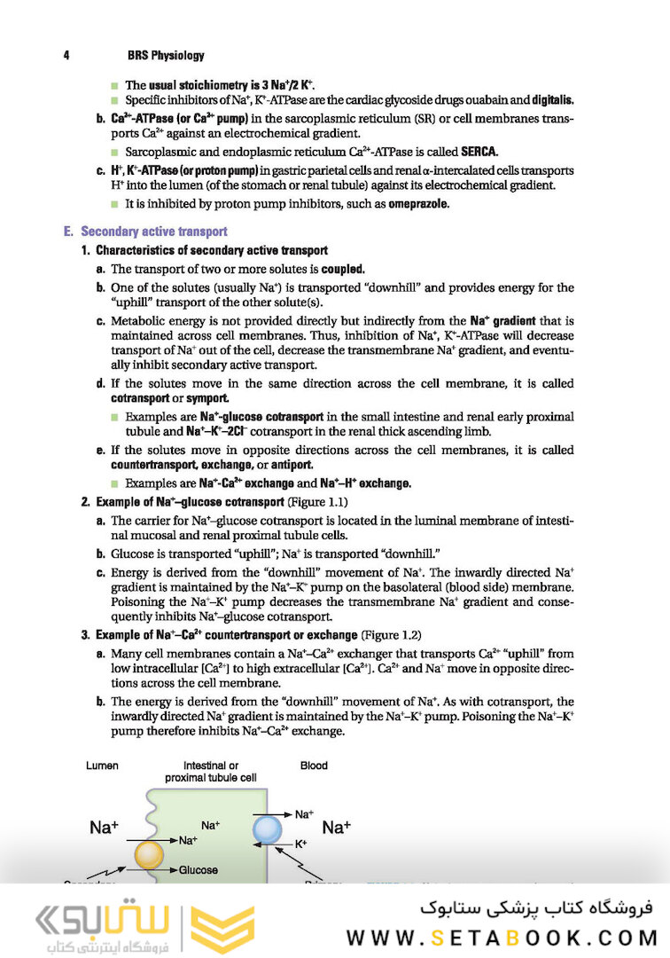 BRS Physiology (Board Review Series)