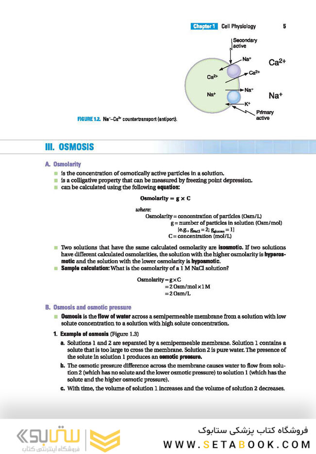 BRS Physiology (Board Review Series)