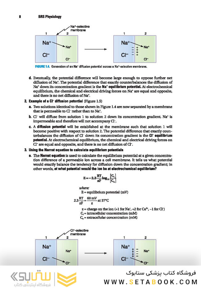 BRS Physiology (Board Review Series)
