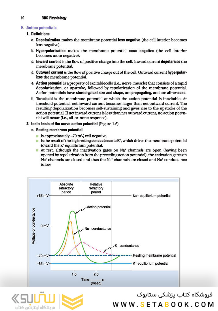 BRS Physiology (Board Review Series)