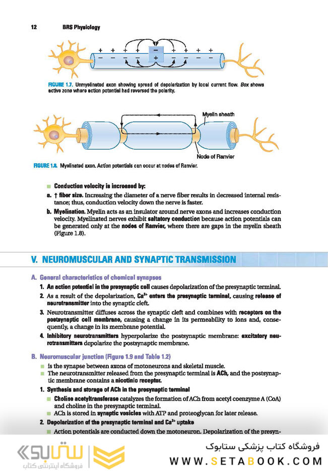 BRS Physiology (Board Review Series)