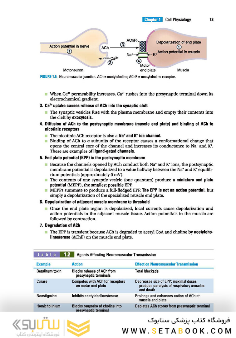 BRS Physiology (Board Review Series)