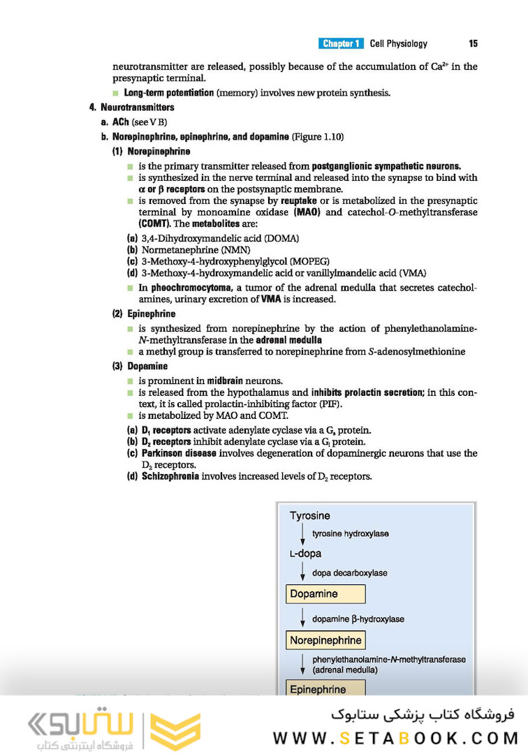 BRS Physiology (Board Review Series)
