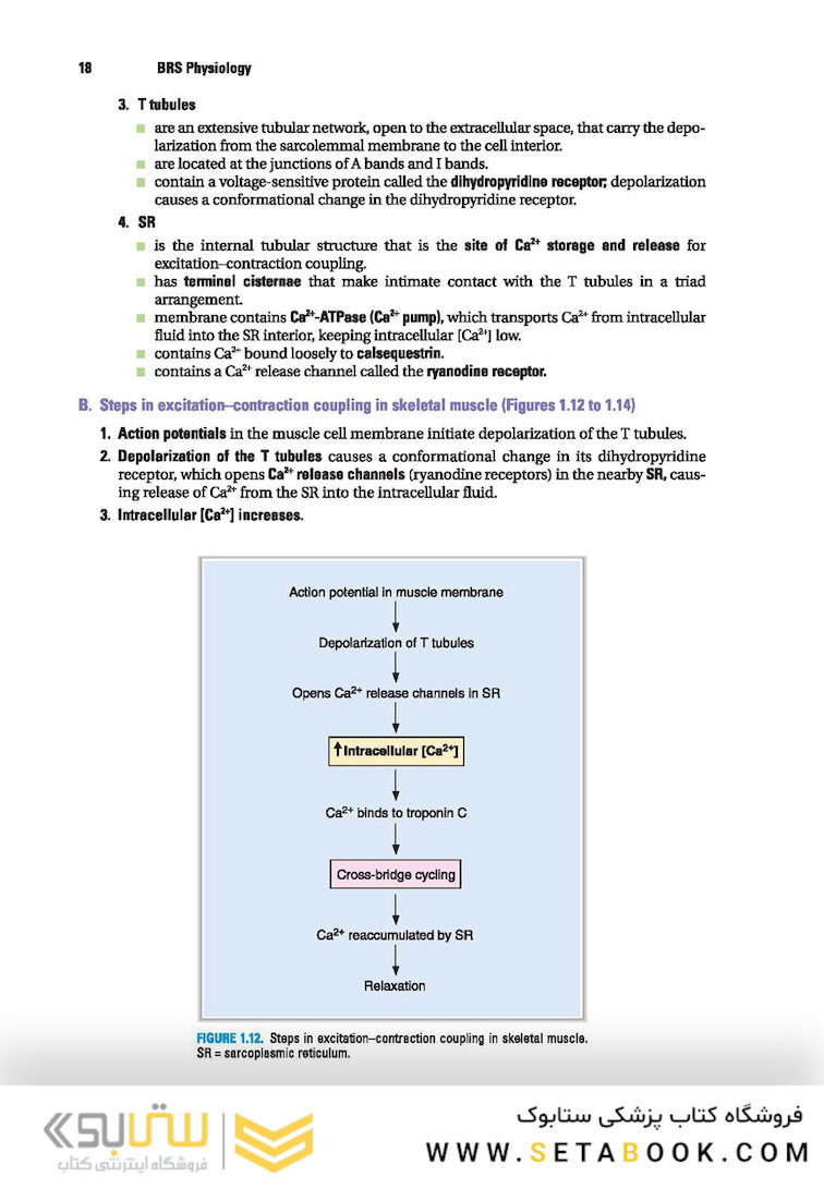 BRS Physiology (Board Review Series)