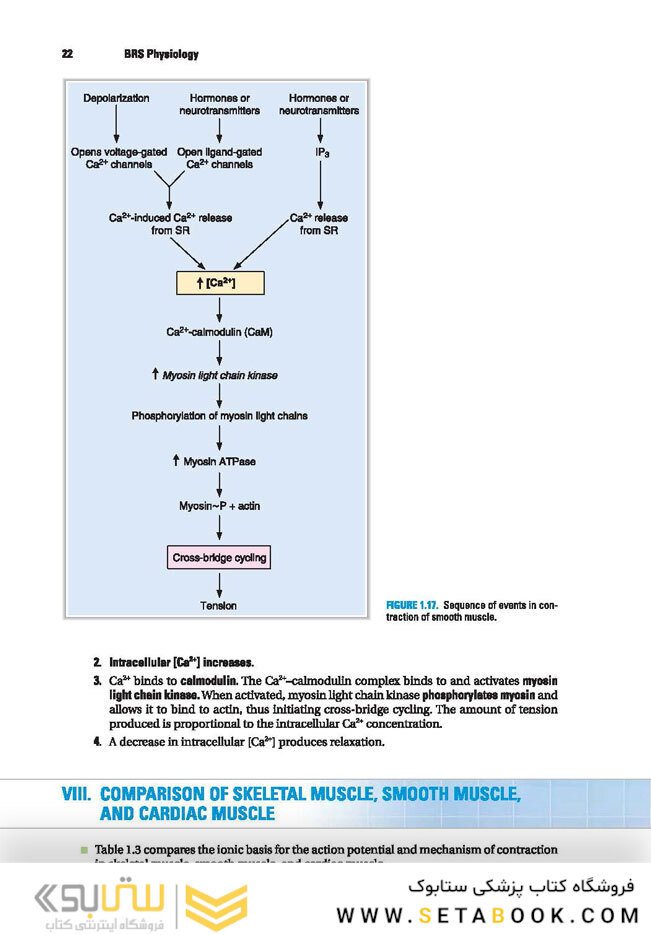 BRS Physiology (Board Review Series)
