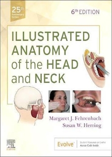 عکس Illustrated Anatomy of the Head and Neckآناتومی مصور سر و گردن