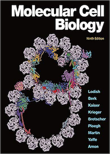 عکس Molecular Cell Biology Ninth Edition 2021