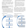 Basic Physiology for Anaesthetists 2019