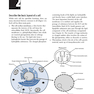 Basic Physiology for Anaesthetists 2019