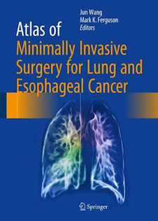 عکس Atlas of Minimally Invasive Surgery for Lung and Esophageal Cancer