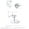 Khonsari’s Cardiac Surgery, 5th Edition2016