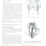 Khonsari’s Cardiac Surgery, 5th Edition2016