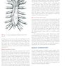 Khonsari’s Cardiac Surgery, 5th Edition2016