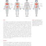 Molecular Biology of Cancer : Mechanisms, Targets, and Therapeutics 2012