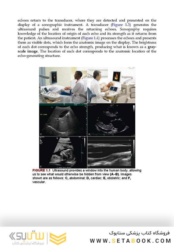 Sonography Principles and Instruments 10th Edition 2020