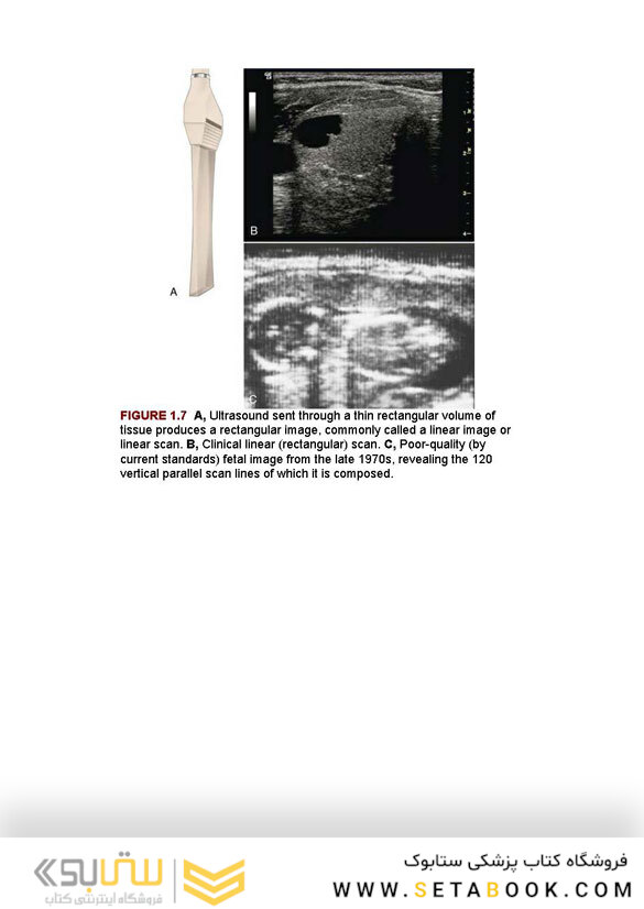 Sonography Principles and Instruments 10th Edition 2020