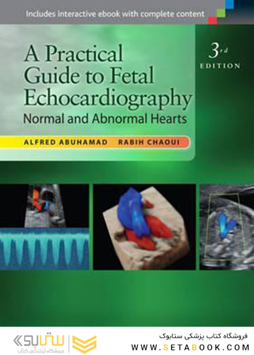 A Practical Guide to Fetal Echocardiography: Normal and Abnormal Hearts 3rd Edición