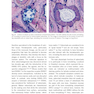 Bone and Soft Tissue Augmentation in Implantology 2022