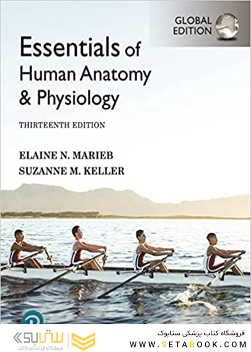 Essentials of Human Anatomy - Physiology [Global Edition] 13th Edición