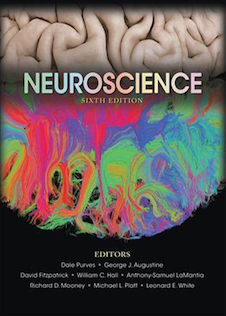 عکس Neuroscience 6th Edition