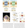 Neuroscience 6th Edition