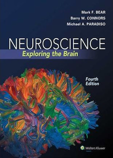 عکس Neuroscience : Exploring the Brain 4th Edicion