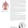 Neuroscience : Exploring the Brain 4th Edicion