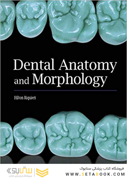 Dental Anatomy and Morphology