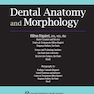 Dental Anatomy and Morphology