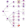 USMLE Step 1 Lecture Notes 2022: Immunology and Microbiology