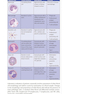 USMLE Step 1 Lecture Notes 2022: Immunology and Microbiology