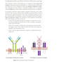 USMLE Step 1 Lecture Notes 2022: Immunology and Microbiology