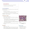 USMLE Step 1 Lecture Notes 2022:pathology