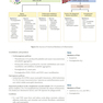 USMLE Step 1 Lecture Notes 2022:pathology