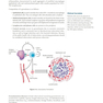 USMLE Step 1 Lecture Notes 2022:pathology