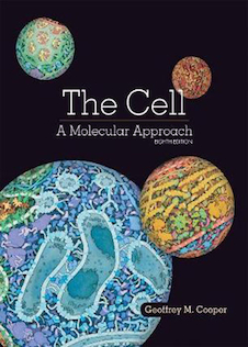 عکس The Cell: A Molecular Approach 8th Edition 2019