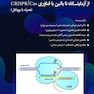 ویرایش هدفمند ژنوم از آزمایشگاه تا بالین با فناوری CRISPR/CAS