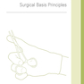 Sabiston Textbook of Surgery : The Biological Basis of Modern Surgical Practice