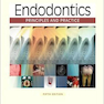 Endodontics : Principles and Practice