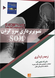 عکس از نگاهی دیگر تصویر برداری سر و گردن som
