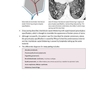Core Radiology: A Visual Approach to Diagnostic Imaging 1st Edition 2013رادیولوژی هسته