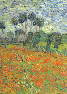 عکس Raven Biology of Plants Eighth Edition