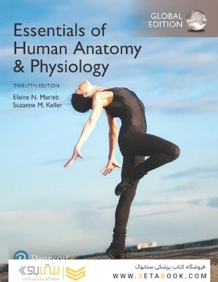 Essentials of Human Anatomy - Physiology plus Pearson Mastering Anatomy - Physiology with Pearson eText, Global Edition 12th Edición