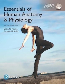 عکس Essentials of Human Anatomy - Physiology plus Pearson Mastering Anatomy - Physiology with Pearson eText, Global Edition 12th Edición