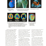 Essentials of Human Anatomy - Physiology plus Pearson Mastering Anatomy - Physiology with Pearson eText, Global Edition 12th Edición