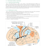 Handbook of Neurosurgery