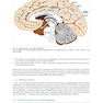 Handbook of Neurosurgery